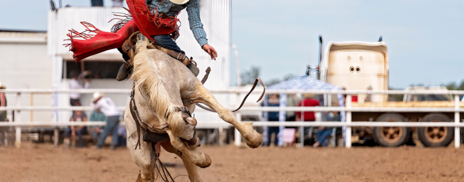 position du rodeo